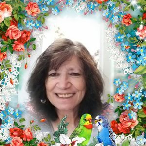Meet your Posher, Kim